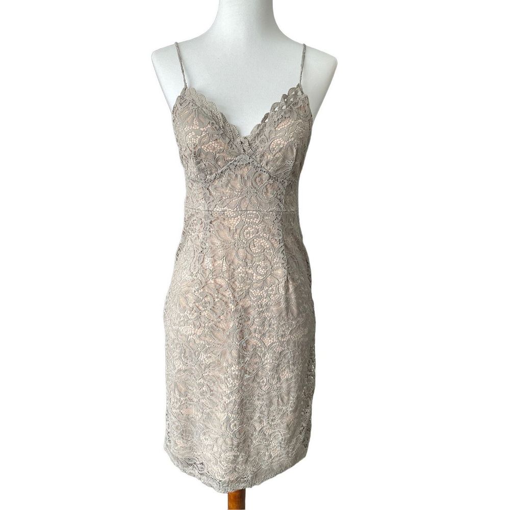 Sweet Storm Lace Dress